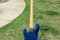 Lake Placid Blue Jazz Bass