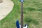 Lake Placid Blue Jazz Bass