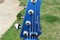 Lake Placid Blue Jazz Bass