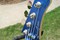 Lake Placid Blue Jazz Bass
