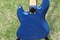 Lake Placid Blue Jazz Bass