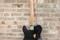Custom Hot Rod Tele's