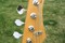 Olympic White P Bass