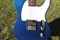 Lake Placid Blue Esquire