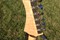 Lake Placid Blue Esquire