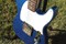 Lake Placid Blue Esquire