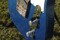 Lake Placid Blue Esquire