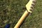 Lake Placid Blue Esquire