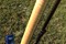 Lake Placid Blue Esquire