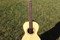 AcousticGuitar-Madisons