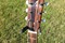 AcousticGuitar-Madisons