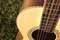 AcousticGuitar-Madisons