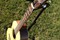 AcousticGuitar-Madisons
