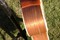 AcousticGuitar-Madisons