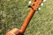 AcousticGuitar-Madisons