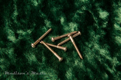 AGED Stratocaster Tremolo Screw Set